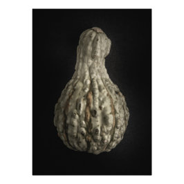 Foto Gourds No 8 Color Version