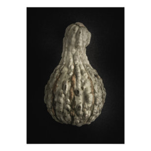 Foto Gourds No 8 Color Version