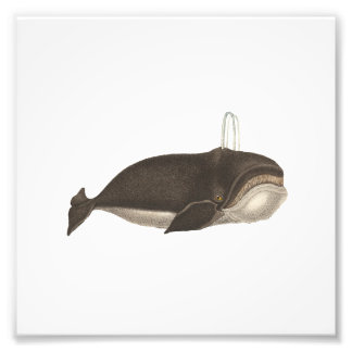 Foto Grabación antigua de una ballena