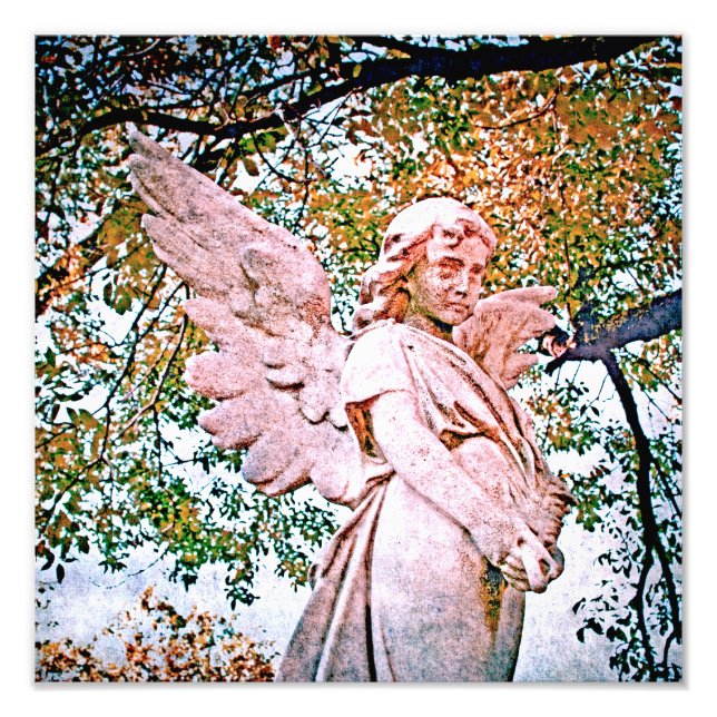 Foto Gracia Angelical (Frente)