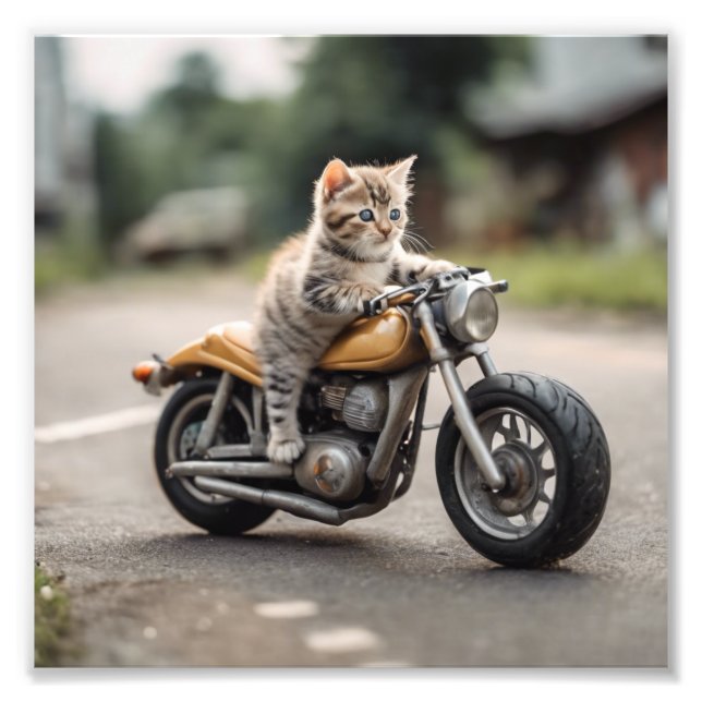 Foto Gracioso (Frente)