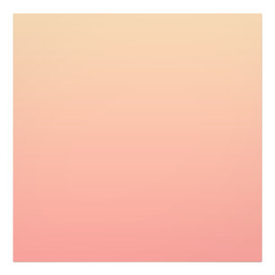 Foto Gradiente rosa y rosa
