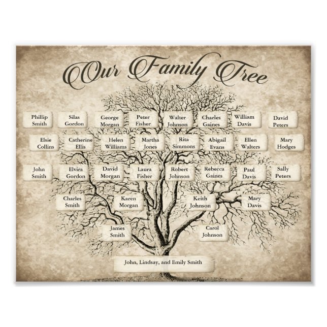 Foto Gráfico de árbol de familia de generación de perso (Frente)