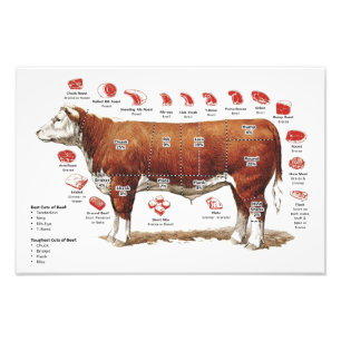 Foto Gráfico de cortes de carne