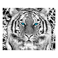 Gráfico De Tigres De Ojos Azules Negros Y Blancos