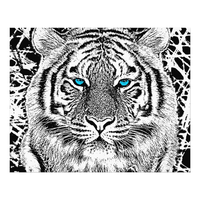 Foto Gráfico De Tigres De Ojos Azules Negros Y Blancos (Frente)