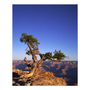 Foto Gran Cañón, Arizona, EE. UU.