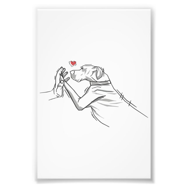 Foto Gran perro danés (Frente)