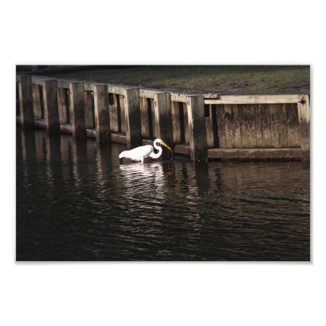 Foto Gran Pesca de Egret (Frente)