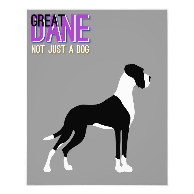 Foto Gran Poster de Dane (Frente)