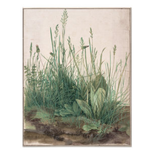 Foto Gran trozo de césped de Albrecht Durer