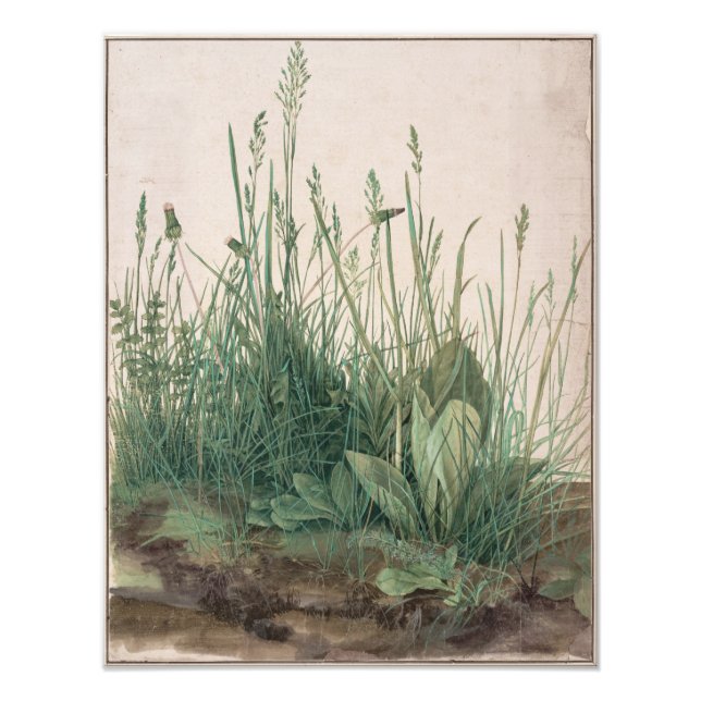 Foto Gran trozo de césped de Albrecht Durer (Frente)