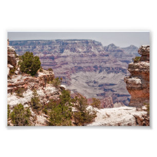 Foto Gran visión del pato