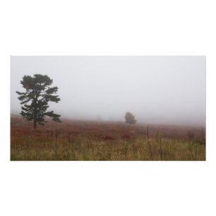 Foto Grandes praderas de niebla durante el otoño, Virgi