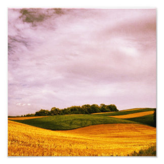 Foto Granja dorada