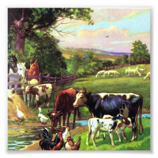 Foto Granja Vintage (Frente)