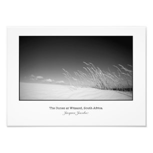 Foto Grass on Dune