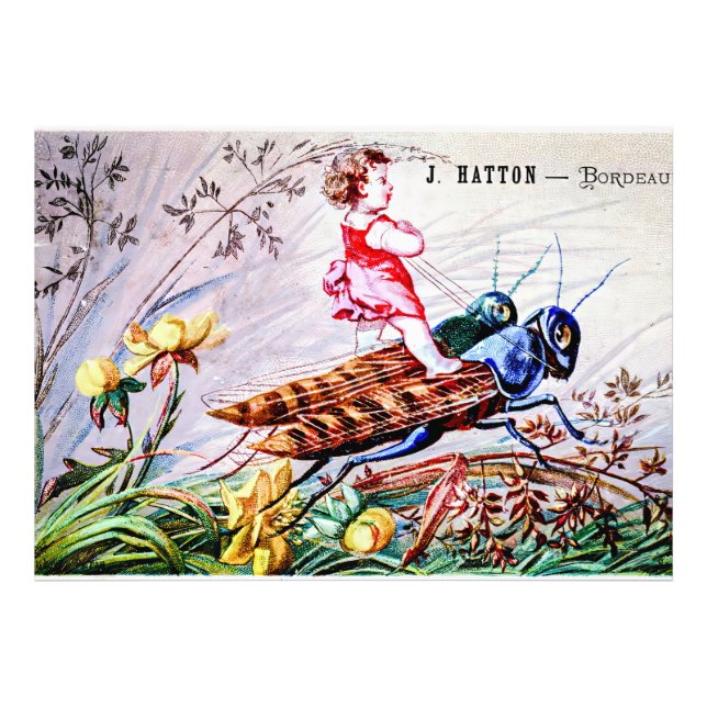 Foto Grasshoppers para niños (Frente)