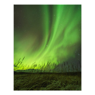 Foto Grasslands Aurora