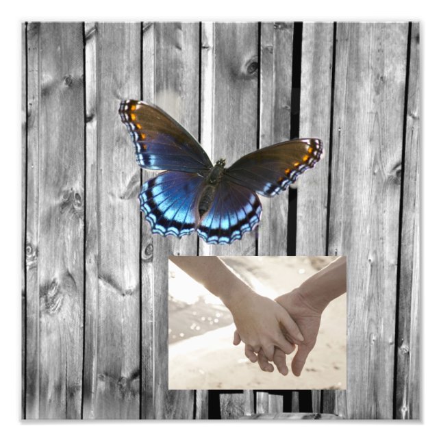 Foto Gray Barn Wood BLue Butterfly Boda (Frente)