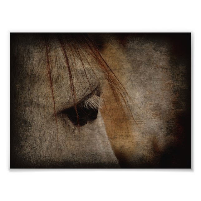 Foto Gray Horse Face Grunge (Frente)