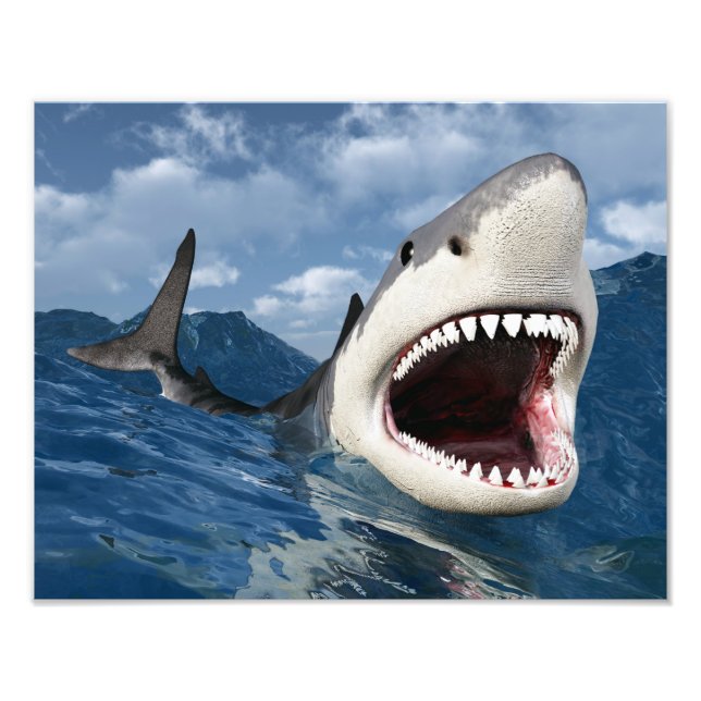 Foto Great Shark White (Frente)