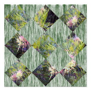 Foto Grevillea: Abrazando los patrones de diamantes de