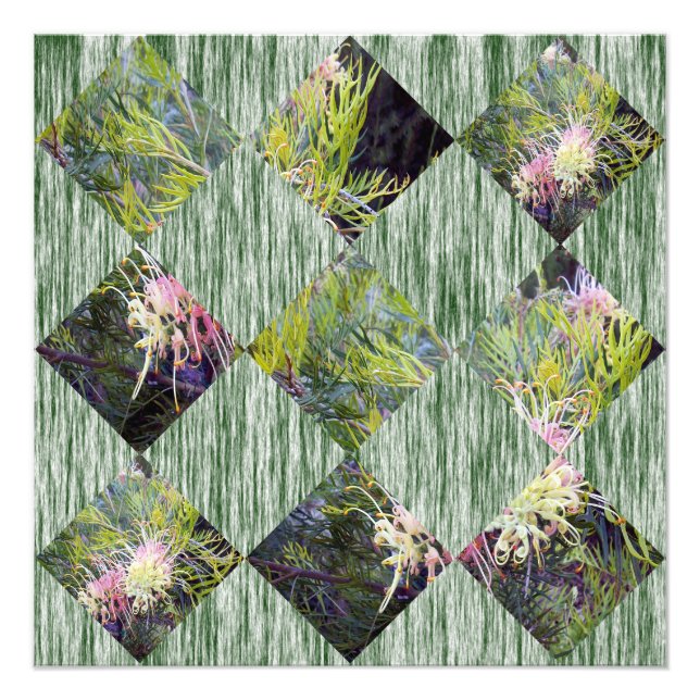 Foto Grevillea: Abrazando los patrones de diamantes de  (Frente)