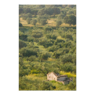 Foto GRIEGO, Islas Jónicas, KEFALONIA, Havriata: