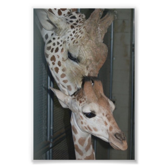 Foto Grupo 4X6 Imprimir #4 (Frente)