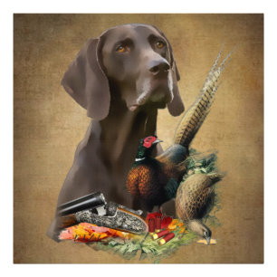 Foto GSP de punteros de corto alcance alemán