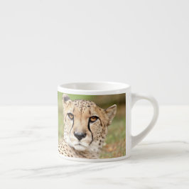 Foto guepard , gato , animales . taza de espresso
