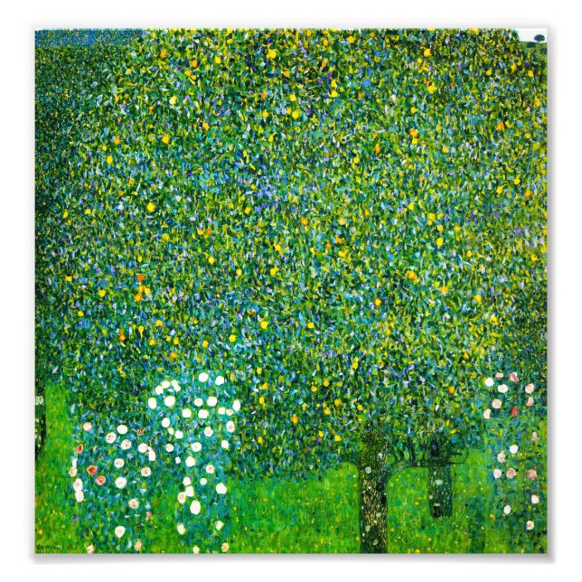 Foto Gustav Klimt Rosas Bajo El Árbol Pear (Frente)