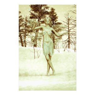 Foto Hada de Invierno en Arte de Fantasía de Bosque Nev