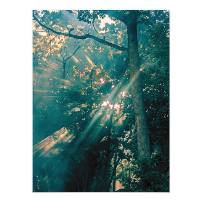 Foto Hadas en el Bosque (Frente)