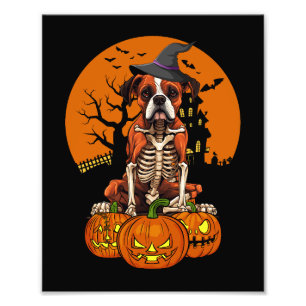 Foto Halloween del Boxer Alemán