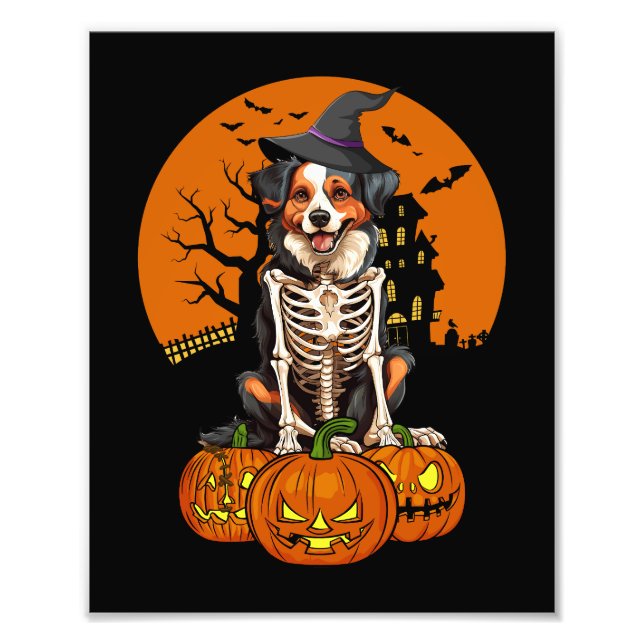 Foto Halloween del Pastor Australiano (Frente)
