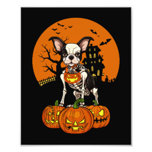 Foto Halloween del perro de Boston Terrier