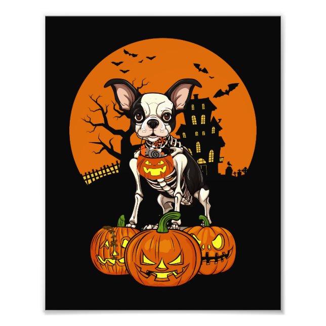 Foto Halloween del perro de Boston Terrier (Frente)