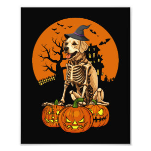 Foto Halloween del perro de la recuperación de oro