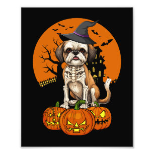 Foto Halloween del perro shih Tzu