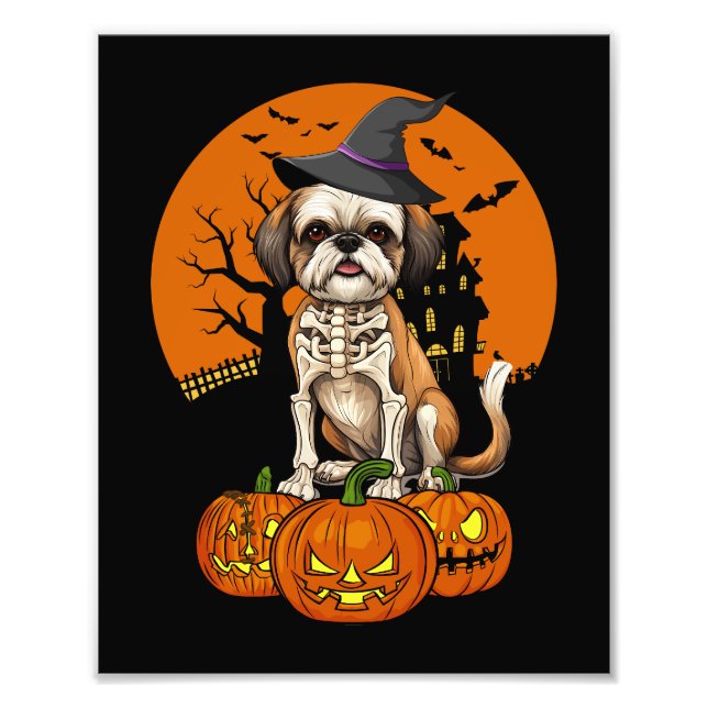 Foto Halloween del perro shih Tzu (Frente)