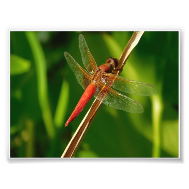 Foto Hang On (Frente)