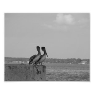 Foto Hang'in hacia fuera