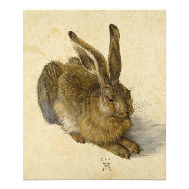 Foto Hare por Albrecht Durer (Frente)