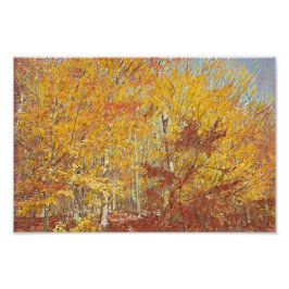 Foto Harina de otoño acuática