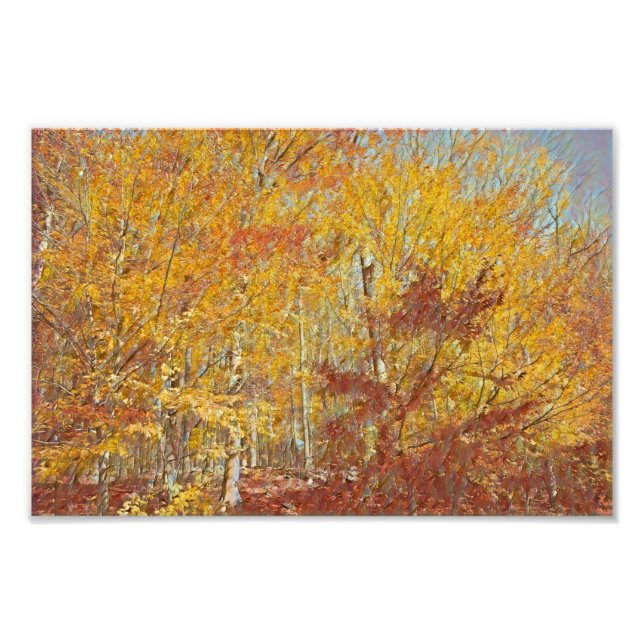 Foto Harina de otoño acuática (Frente)