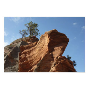 Foto Hasta Angels Landing en el Parque Nacional Zion
