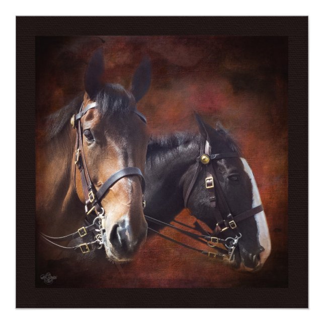 Foto Hermanos armados (Frente)