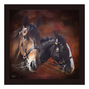 Foto Hermanos en brazos